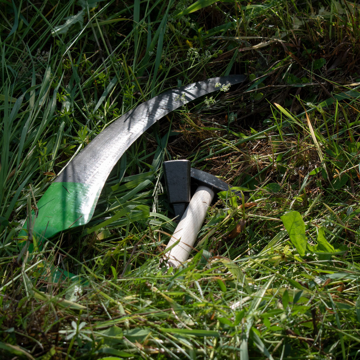 Set Gartensense inkl. Dengelhammer und -Amboss - Sensenblatt 60 cm - Eschenholzwurf 160 cm