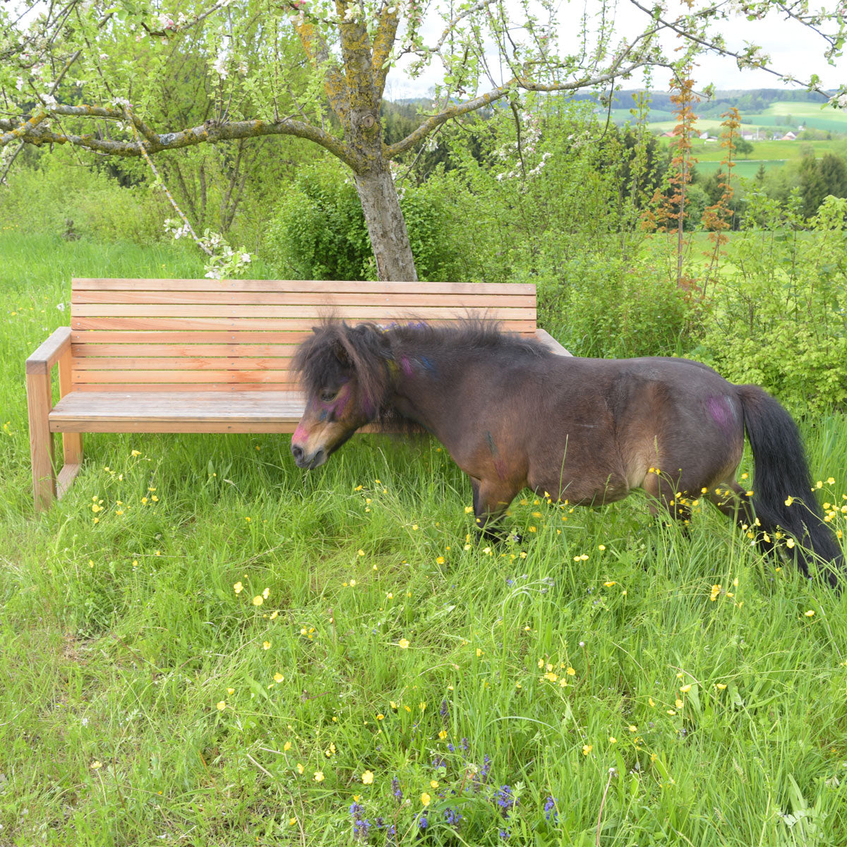 Gartenbank 'Rest Time' | massive Lärche | mit Ablage | B 200 x T 63 x H 89 cm | für 3 Personen | handgefertigt in Österreich