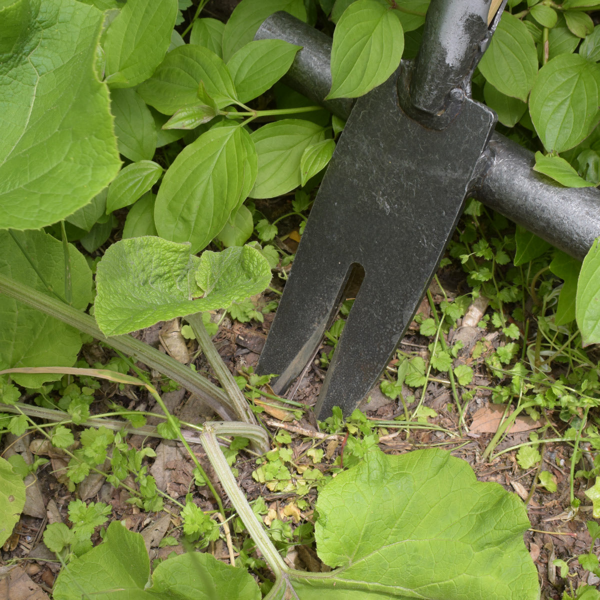 Ampferstecher 'Krafts' | Handgeschmiedet in Deutschland 90 cm T-Stiel