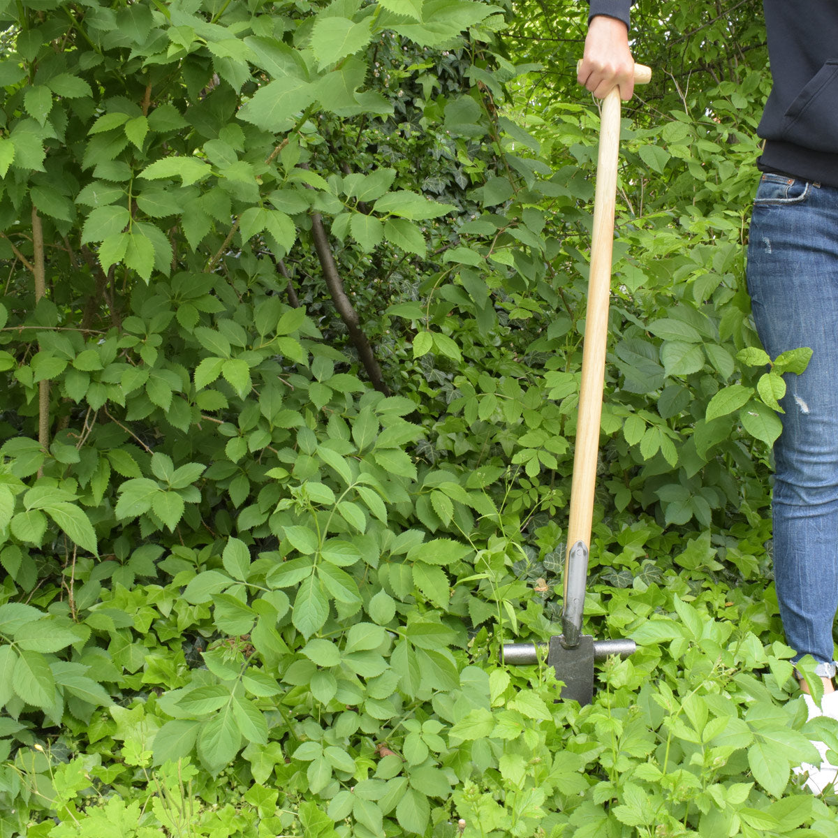 Ampferstecher 'Krafts' | Handgeschmiedet in Deutschland 90 cm T-Stiel