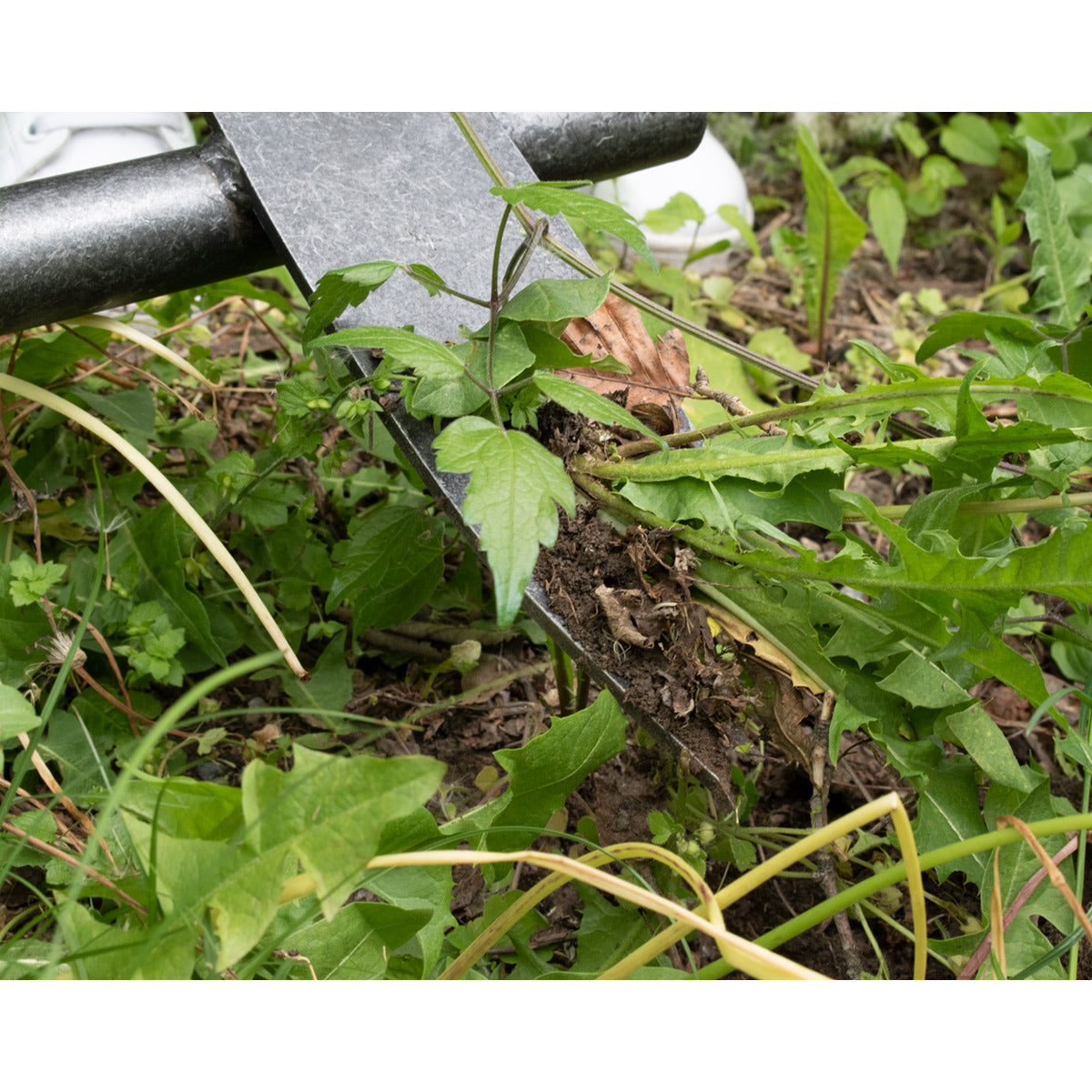 Ampferstecher 'Krafts' | Handgeschmiedet in Deutschland 90 cm T-Stiel