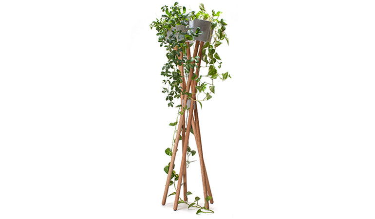 Hochgarten / Pflanzgestell | DM 40 x H 150 cm | 5 Stück Übertöpfe Beton grau oder weiß DM 13 cm | Gestell Eiche | Made in Germany