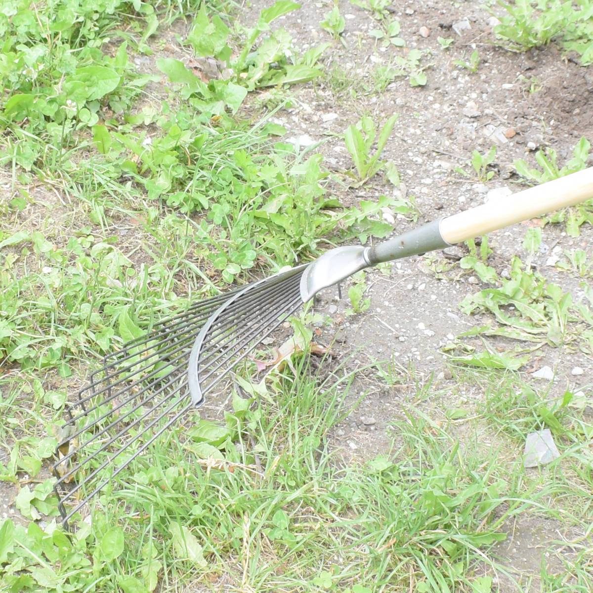 Rasen- und Laubrechen 'Krafts' | handgeschmiedetes Stahl | 20 Zinken | Eschenholzstiel ergonomisch 150 cm | plastikfrei | Handarbeit aus Deutschland