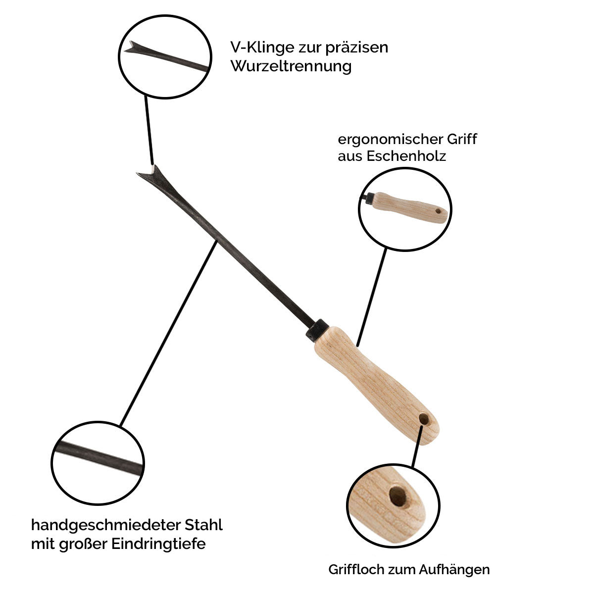 Unkrautstecher mit Eschenstiel Grifflänge: 14 cm Gesamtlänge: 36 cm Gewicht: 200 gr handgeschmiedet in Deutschland