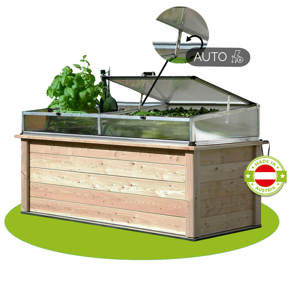 Hochbeet | regionale Gebirgslärche | inkl. Frühbeetaufsatz | mit automatischem Fensteröffner | L 125/206 x B 92 x H 80 cm | inkl. Nagegitter + Noppenfolie | Made in Austria