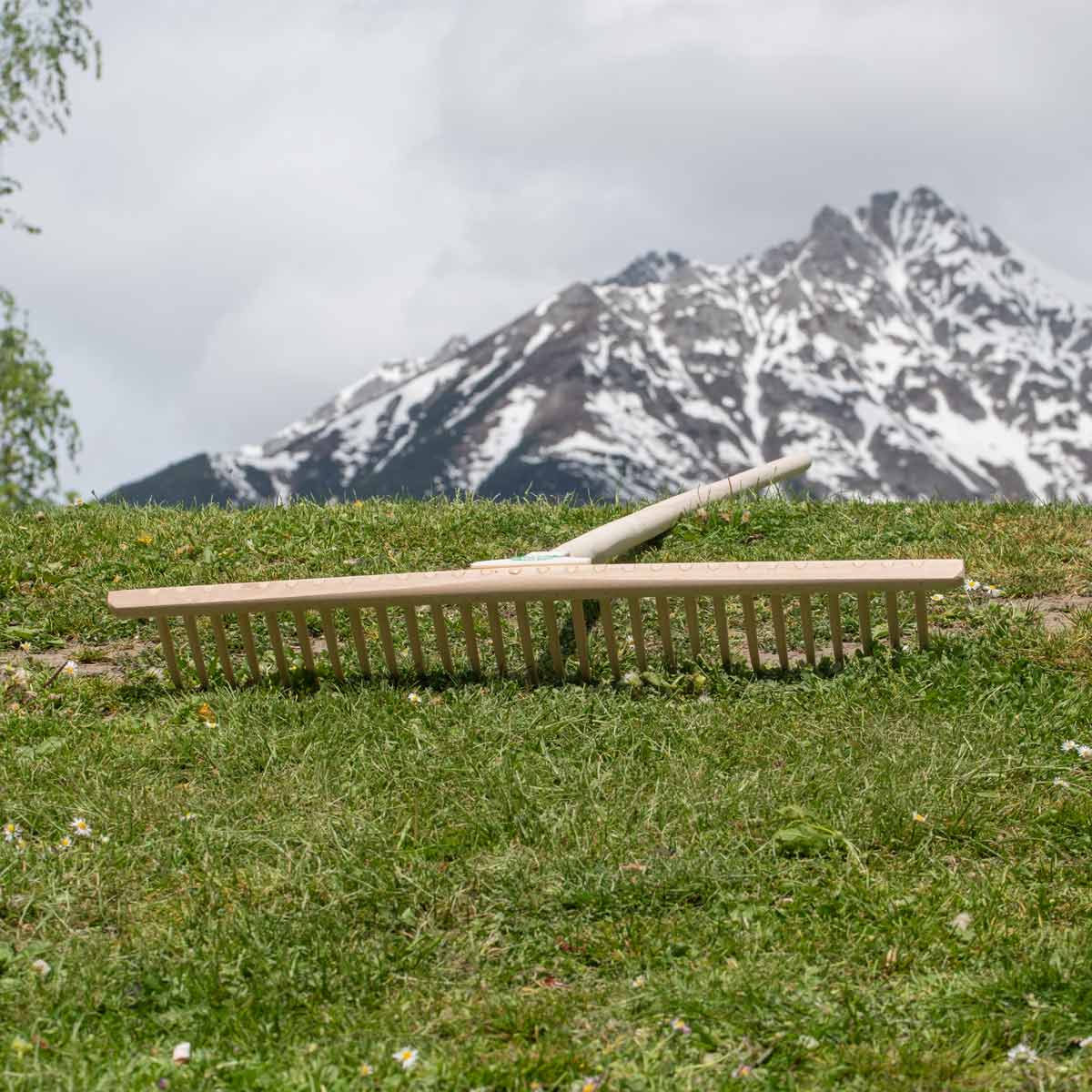 Hochwertiger Rasenrechen | 28 Kunststoffzinken | 67 cm Buchen-Rechenhaupt | 180 cm Lindenholzstiel | Made in Austria
