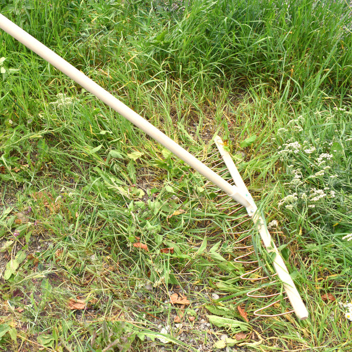 Stabiler und gleitfähiger Drahtbügelrechen 79 cm | mit 13 Zinken | Kupferdrahtbügel & Buchenjoch & Lindenholz Stiel | für Gras und Laub | Handgemacht in Österreich