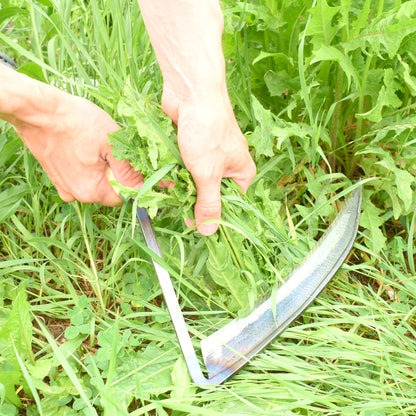 4BDKH0661