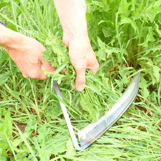 4BDKH0661