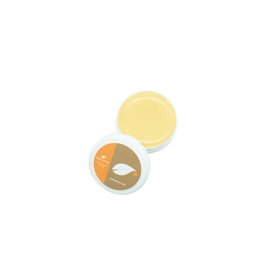 4BUS09-0001