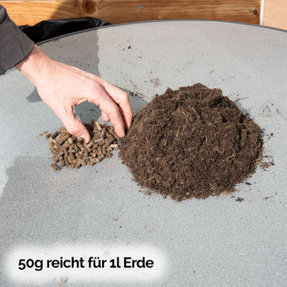 4BDKAPELMD