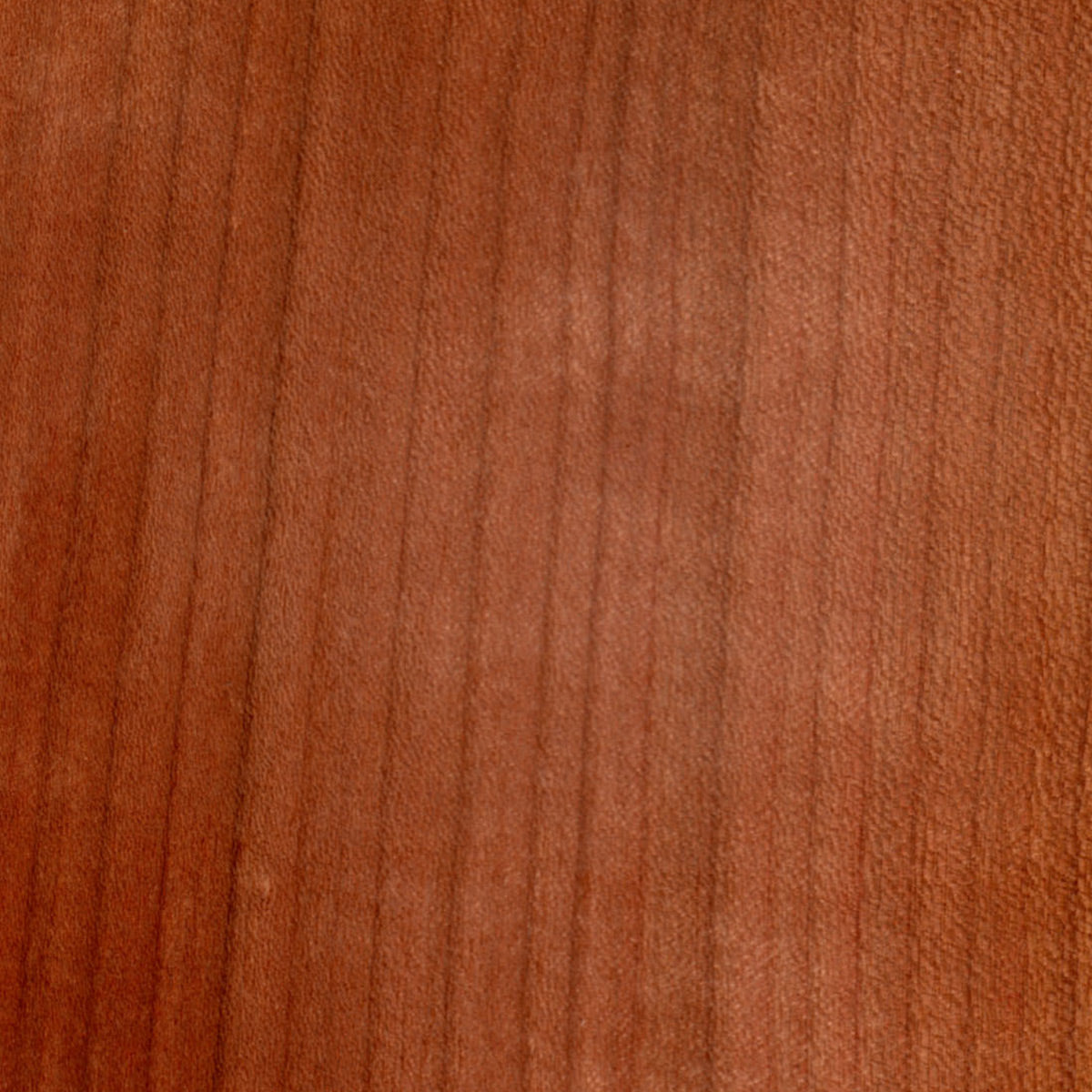 Eleganter Stuhl  - 'Sitwell Fine' Kirsche roh