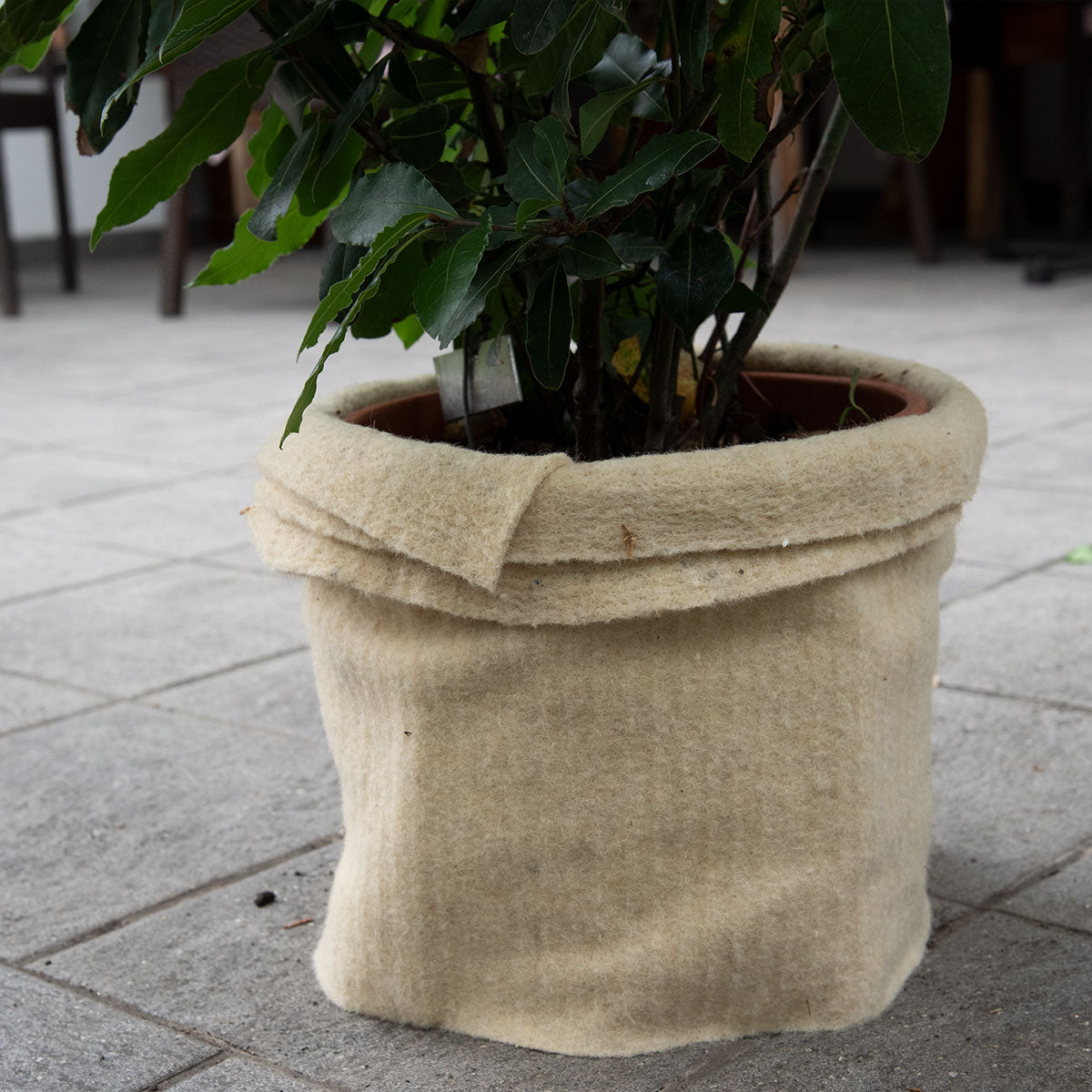 Winterschutzmatte aus reinem Schafwollfilz | 100 x 200 x 0,5 cm | grau | 500 g/m²