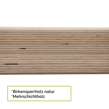 Trainingsboard 'Griff Kraft Germany' | inkl. 2 Sticks & Übungsposter | Birkenholz
