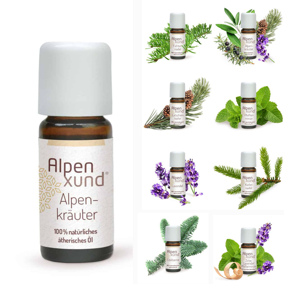 Alpenxund Duftmischung Zirbe / Lavendel / Pfeffer | 10ml