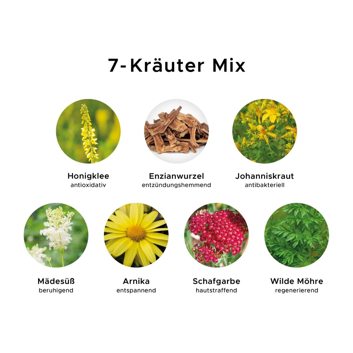Hair & Body Shampoo 'Organic Herbs' | 250 ml | Kunststoffgebinde mit Pumpfunktion