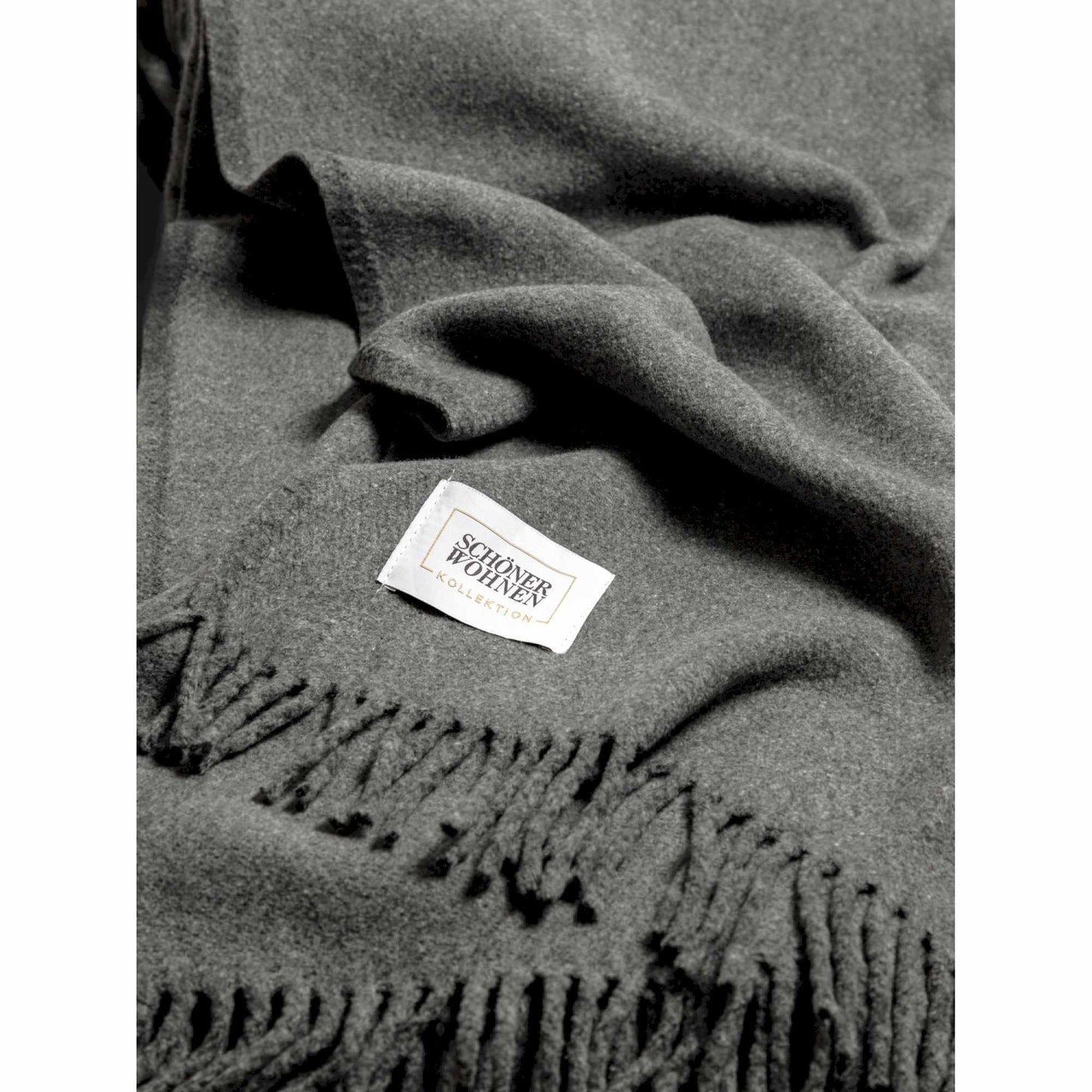 4BDWDSWBAICS-001