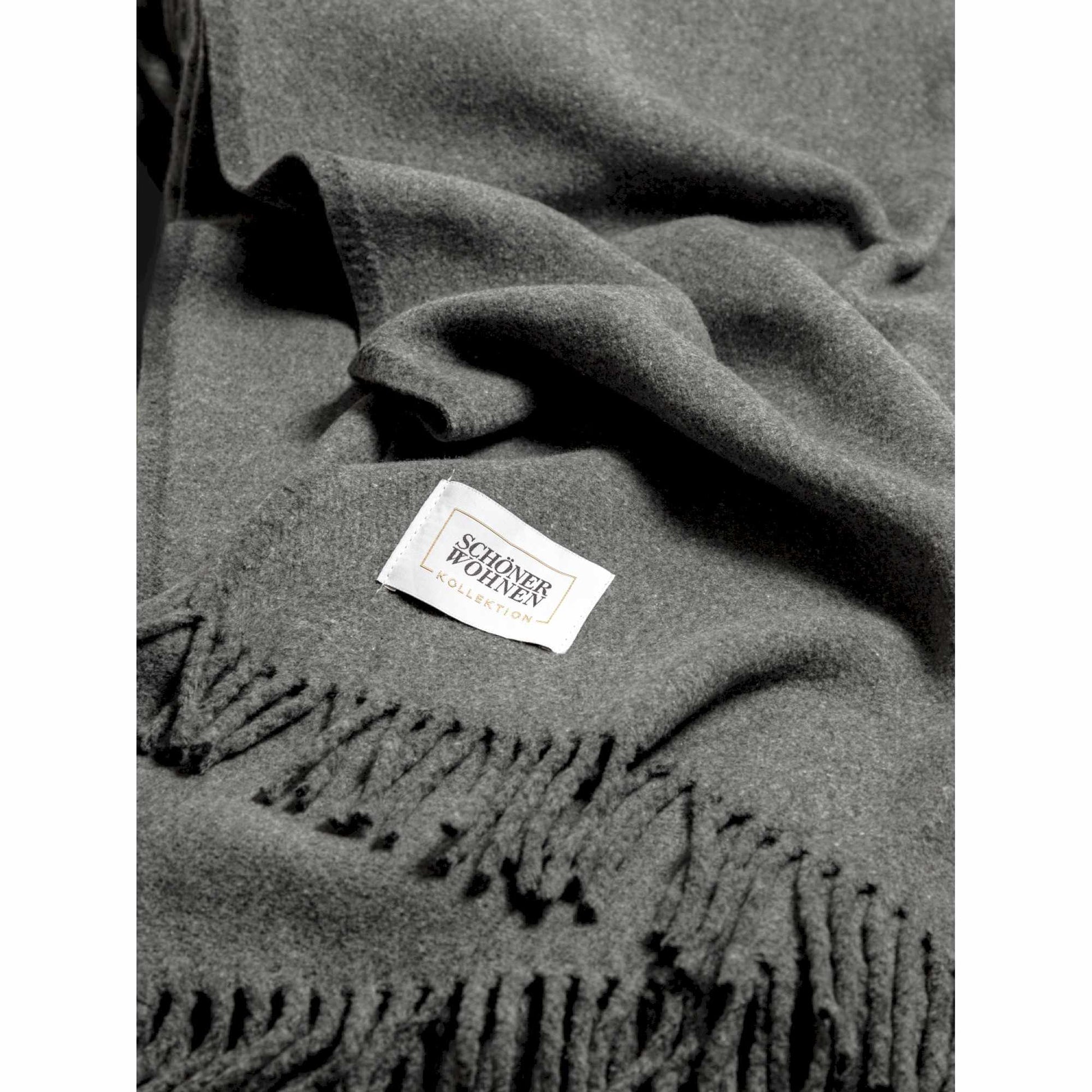 4BDWDSWBAICS-001