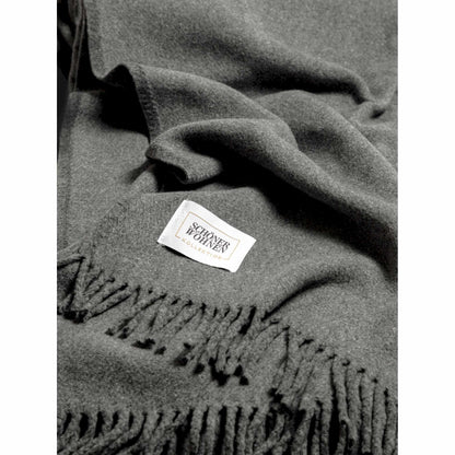 4BDWDSWBAICS-001