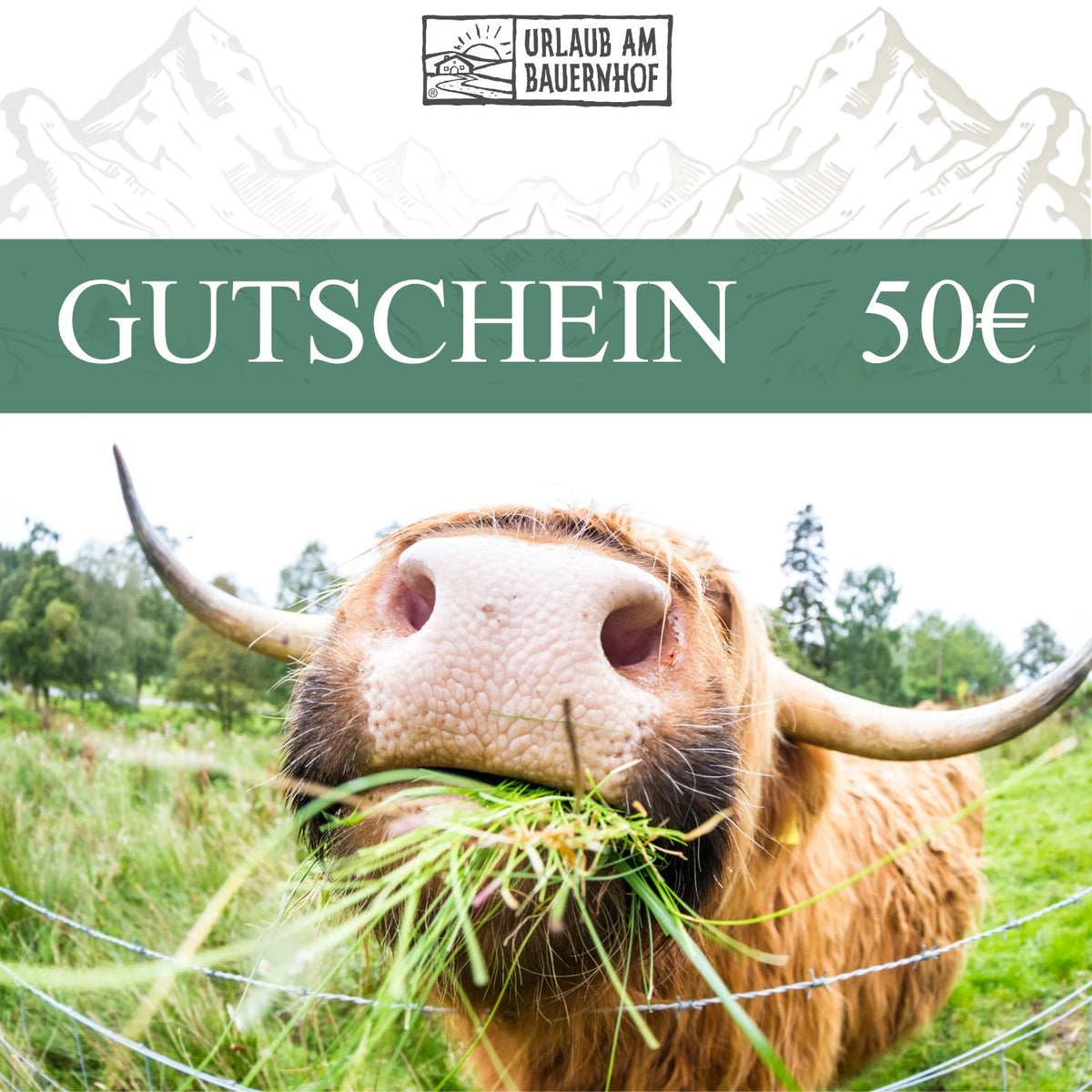Gutschein Kuh 50 EUR