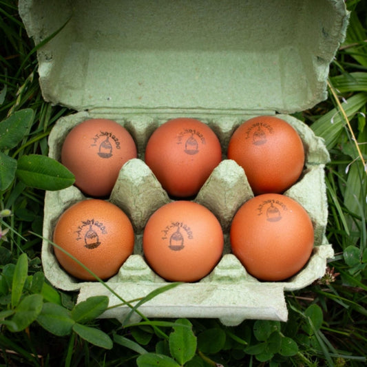 Eier 'Fisser Goggala'