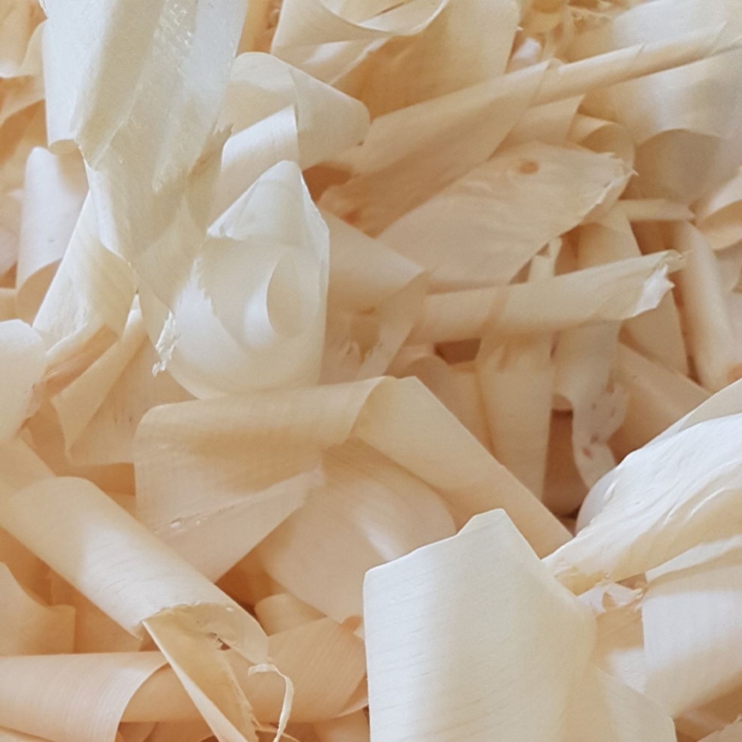 Zirbenlüfter ‘Kubus Junior’ | für 15 m² | flüsterleiser Ventilator | Lichtfarben wählbar |  für Privat und Büro | Made in Austria