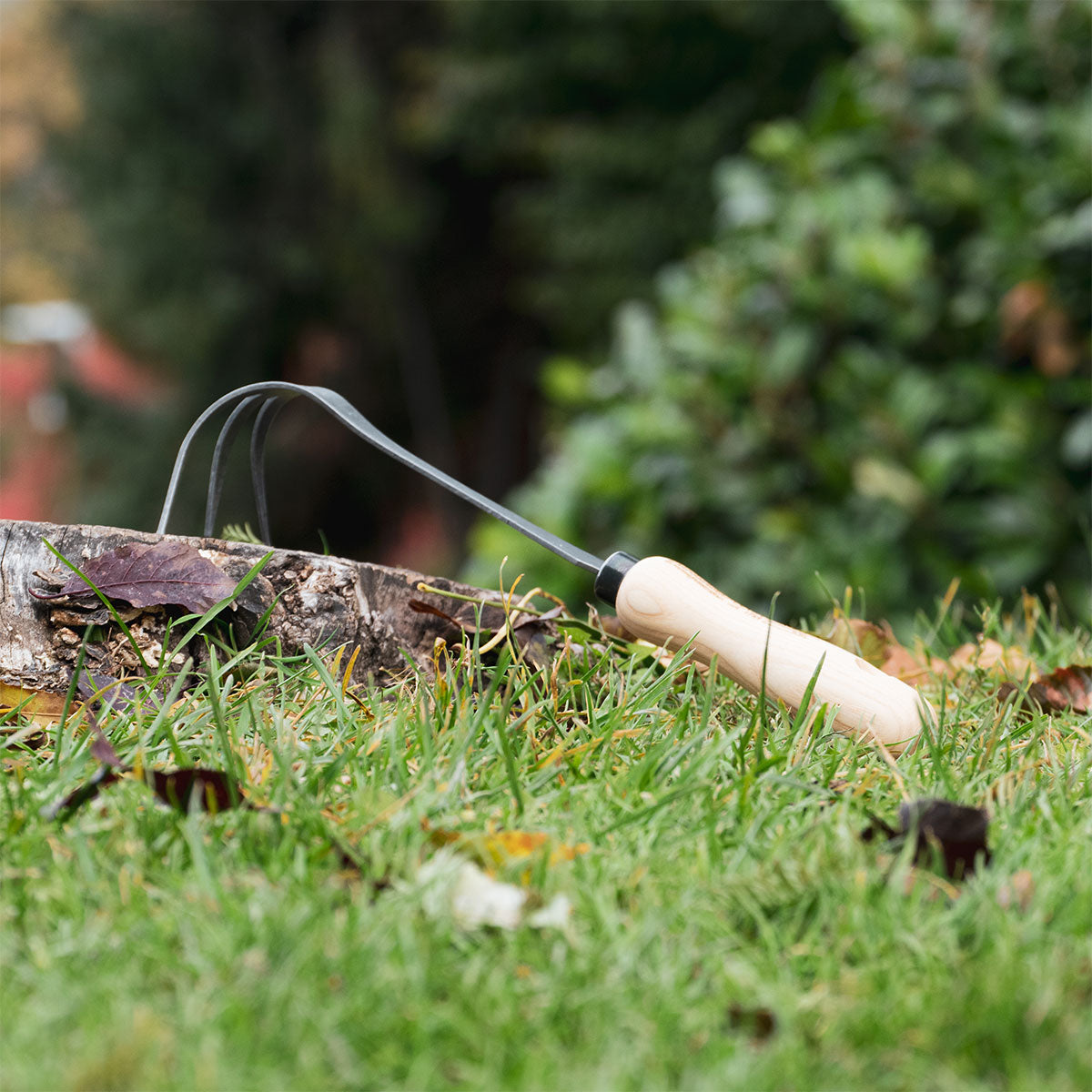 Bio-Cultivator mit 3 Zinken und Eschenholzgriff - handgeschmiedet in Deutschland