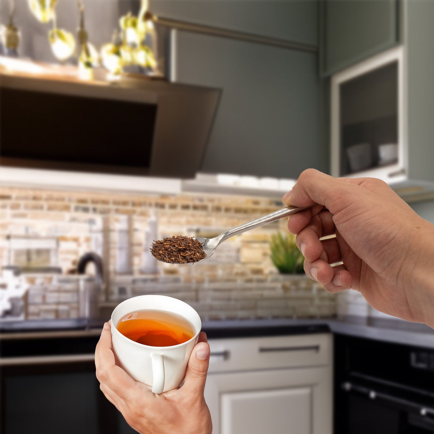 Rooibos Original | lose | ohne künstliche Aromen und Geschmacksverstärker | in verschiedenen Größen