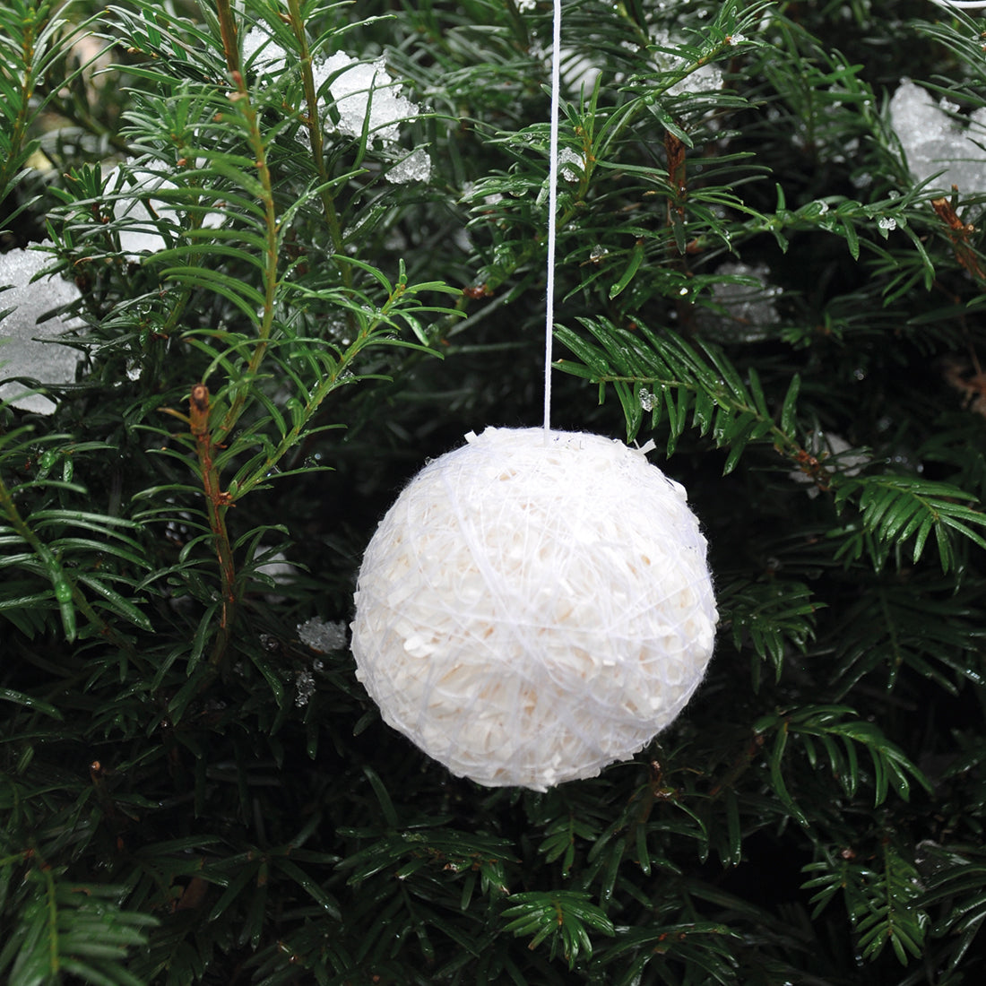Edler Christbaum 'X-Mas' | aus heimischer Fichte | Höhe 160 cm | mit oder ohne Dekoration erhältlich | Made in Germany
