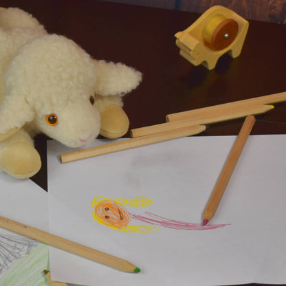 Unlackierte Farbstifte in zwei Größen - 'Color Pencils'